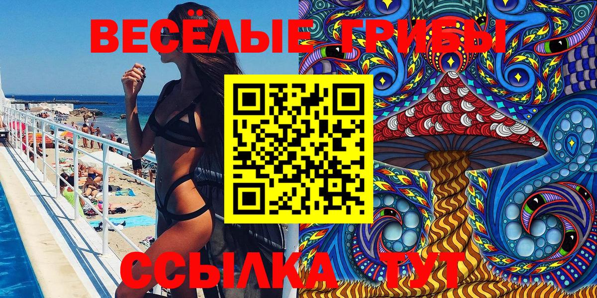 Псилоцибиновые грибы Psilocybe  Вход с VPN  Джанкой 